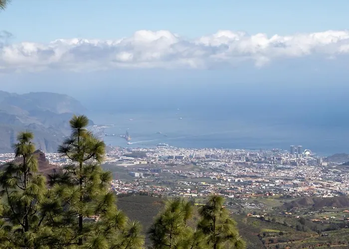 Ng Cruz - * Santa Cruz de Tenerife